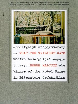 cover image of What the Twilight Says